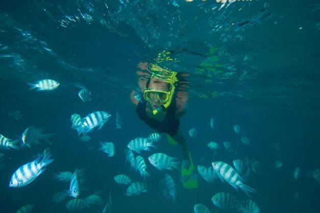 Cerf Island Resort Round Island Ngoại thất bức ảnh
